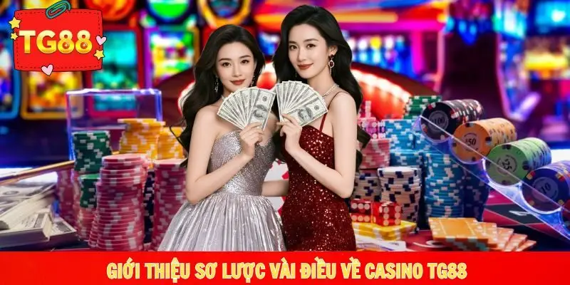 Đôi điều giới thiệu về chuyên mục casino nhà cái TG88
