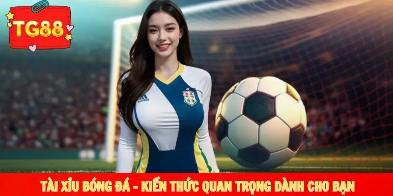 Tài xỉu bóng đá